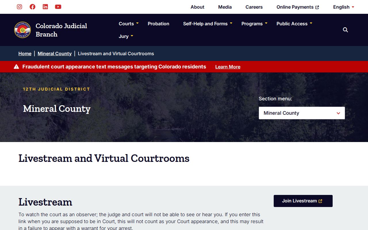 Mineral County bench warrant search and virtual court access